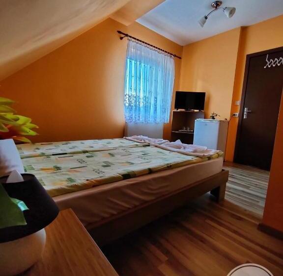 غرفة قياسية, Casa Cosmin Cincu