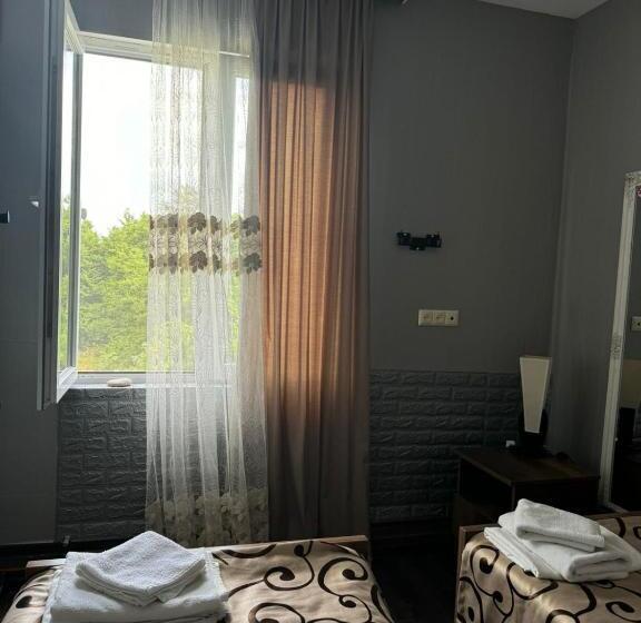 اتاق اکونومی, White House Anaklia