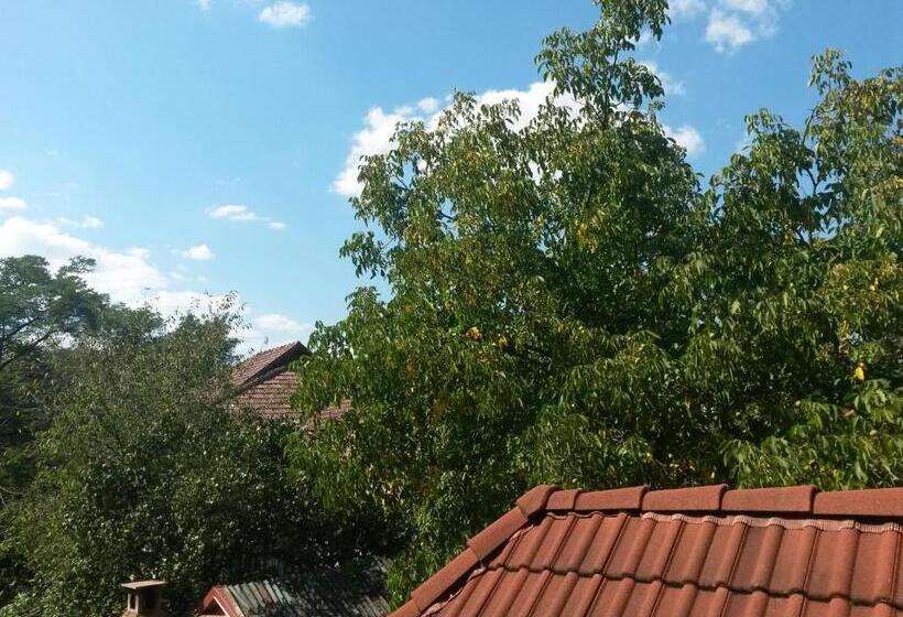 Номер Стандарт с Балконом, Pensiunea Lőrincz  Panzió