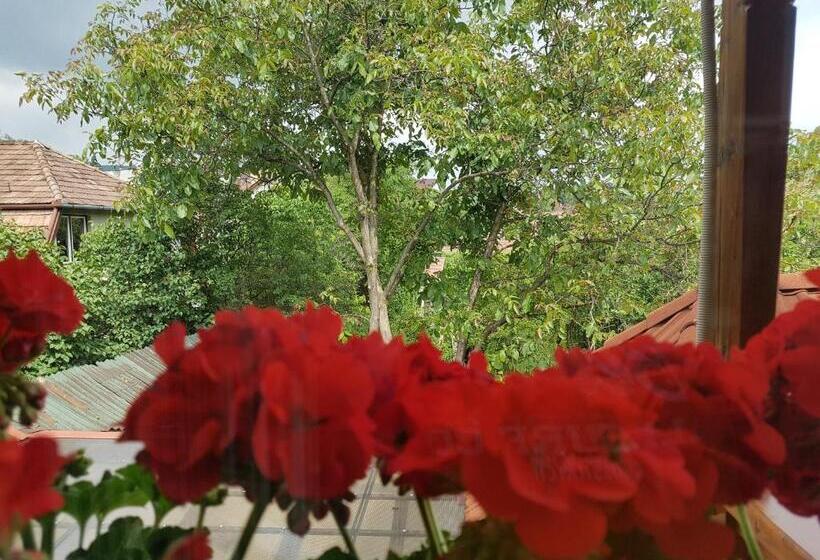 Номер Стандарт, Pensiunea Lőrincz  Panzió