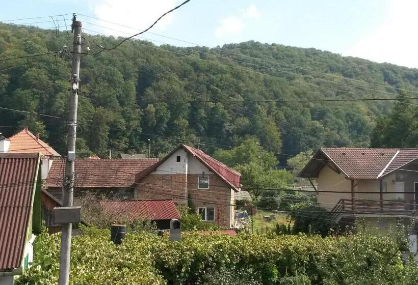 Номер Стандарт с Террасой, Pensiunea Lőrincz  Panzió