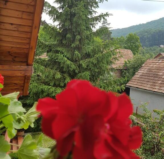 テラス付スタンダードルーム, Pensiunea Lőrincz Panzió