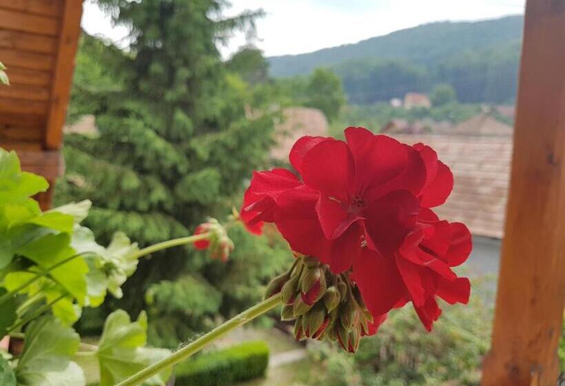 Номер Стандарт с Террасой, Pensiunea Lőrincz  Panzió