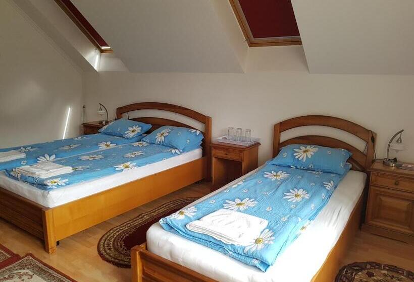 Номер Стандарт с Террасой, Pensiunea Lőrincz  Panzió