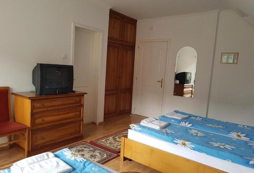 Номер Стандарт с Террасой, Pensiunea Lőrincz  Panzió