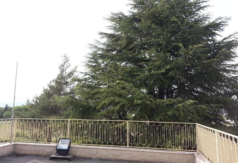 스탠다드 싱글 룸, Bad & Breakfast La Siepe