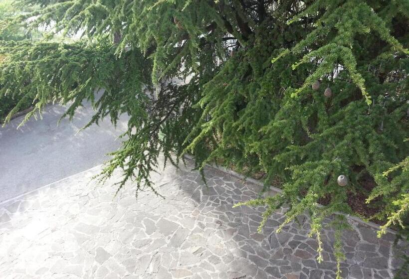 스탠다드 싱글 룸, Bad & Breakfast La Siepe