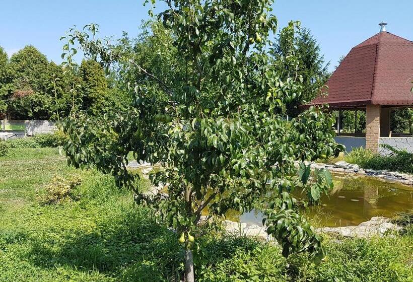 آپارتمان 1 خوابه, Ingrid Panzió