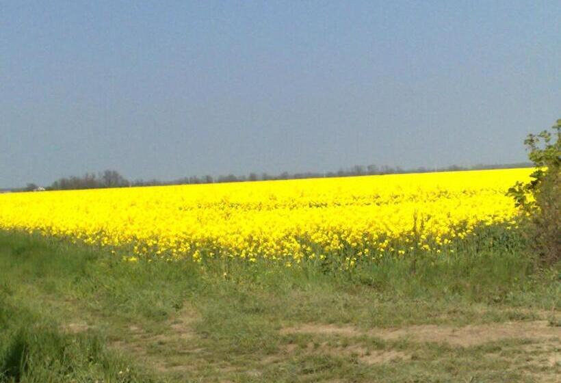 آپارتمان 1 خوابه, Ingrid Panzió