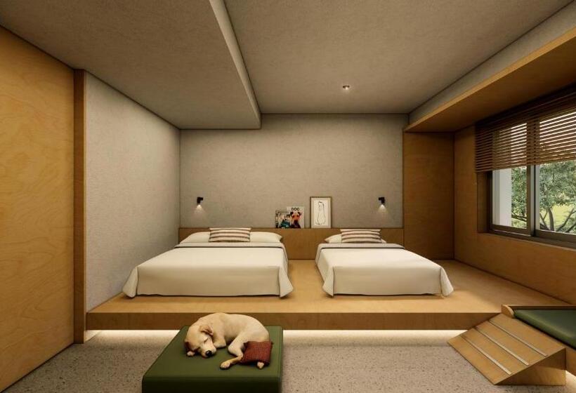 חדר דלוקס, Kinock   Pet