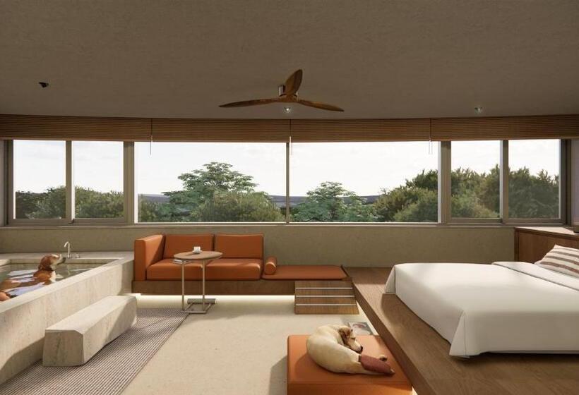 חדר סטנדרט, Kinock   Pet