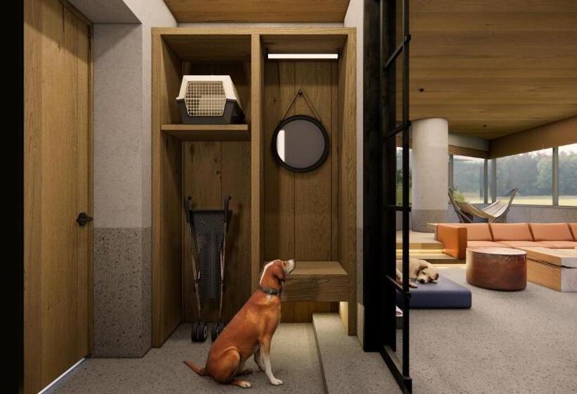 סוויטה, Kinock   Pet