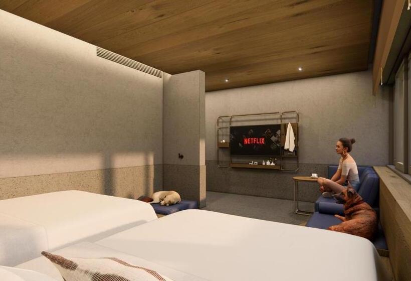 סוויטה, Kinock   Pet