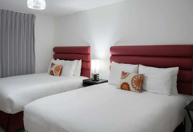 اتاق لوکس, In & Out