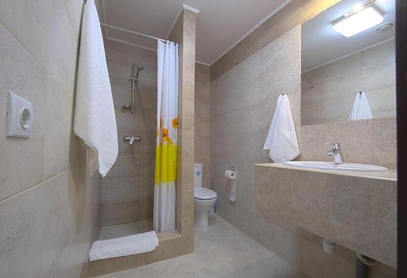 اتاق استاندارد با تخت بزرگ, Advenus