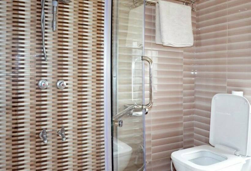 Номер Стандарт Трехместный, Arusha Naaz