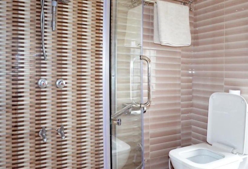 Номер Стандарт Трехместный, Arusha Naaz