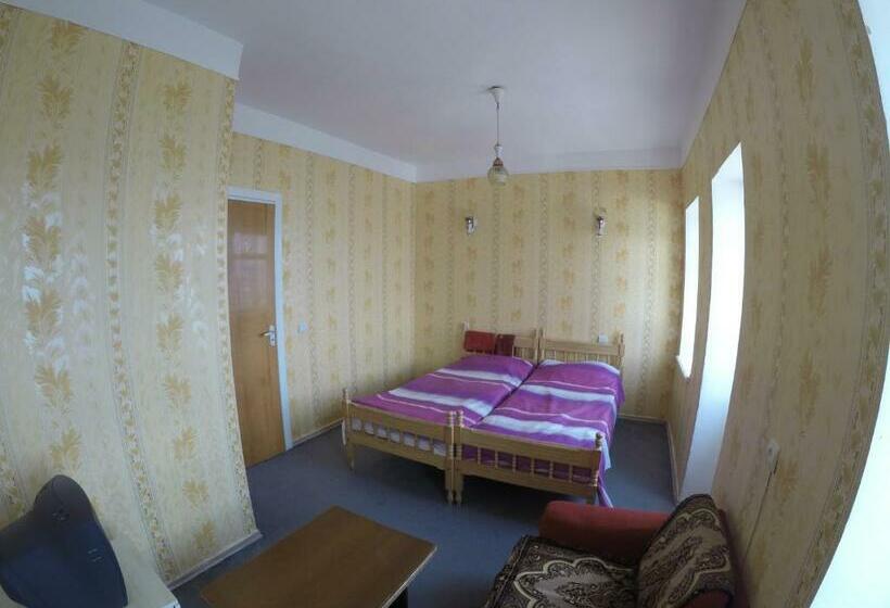 اتاق استاندارد با چشم‌انداز دریاچه, Sevan Writers House