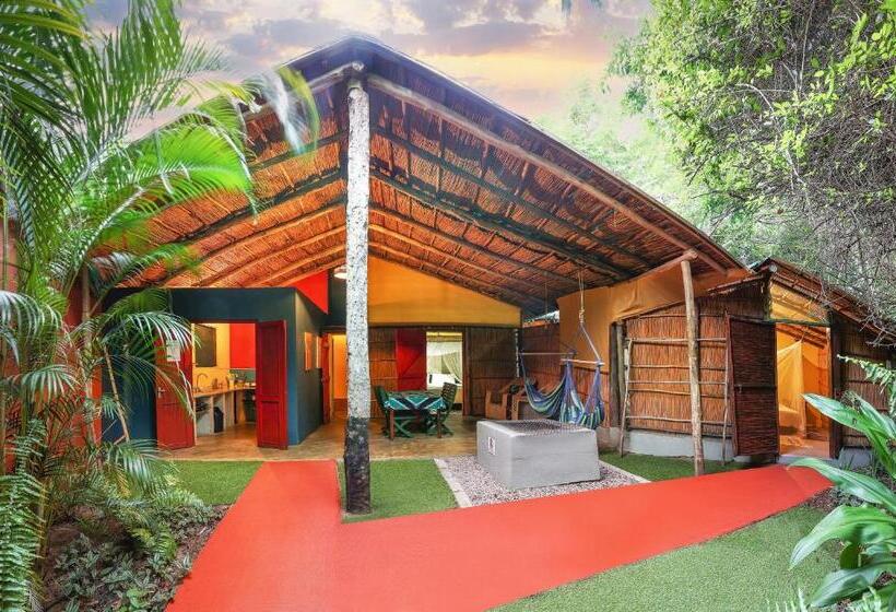 בקתה סטנדרטית, Gala Gala Eco Resort