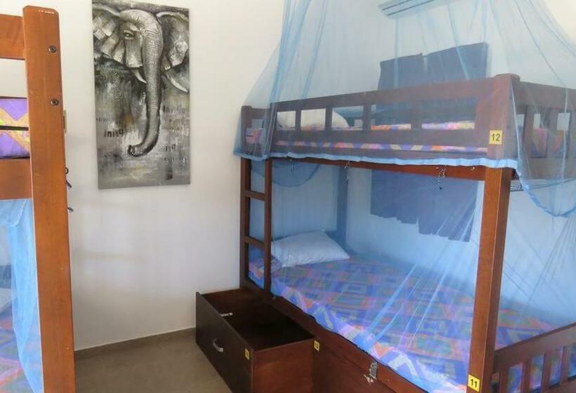 Llit en Habitació Compartida, The Long Hostel