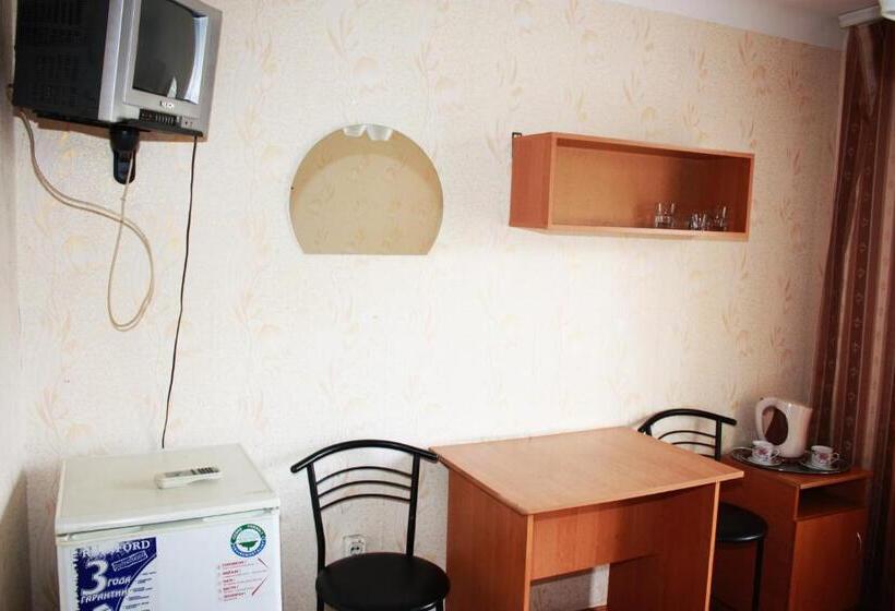 اتاق اکونومی با حمام مشترک, Vydubychi