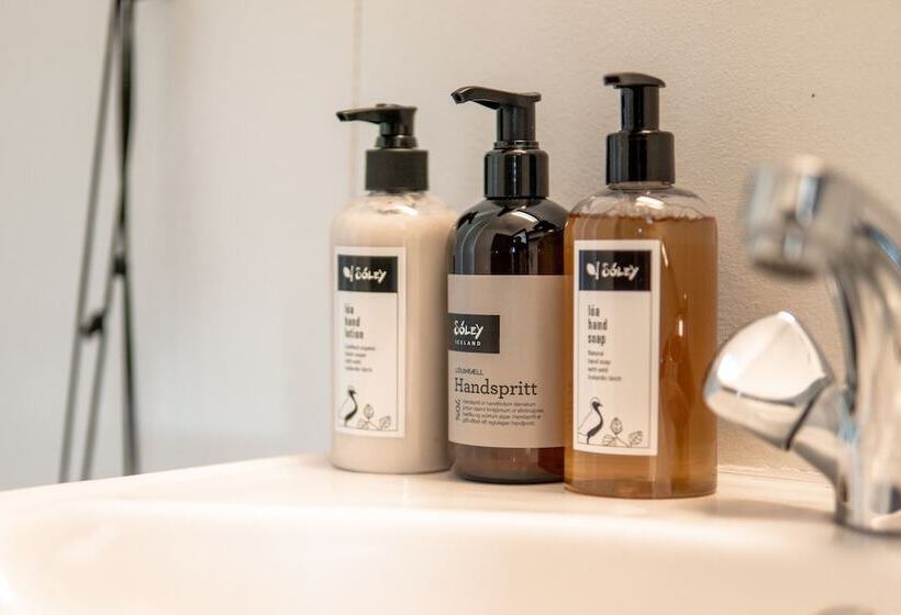 اتاق سوپریور, Aurora Lodge