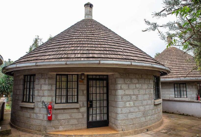 اتاق خانوادگی, Thayu Farm