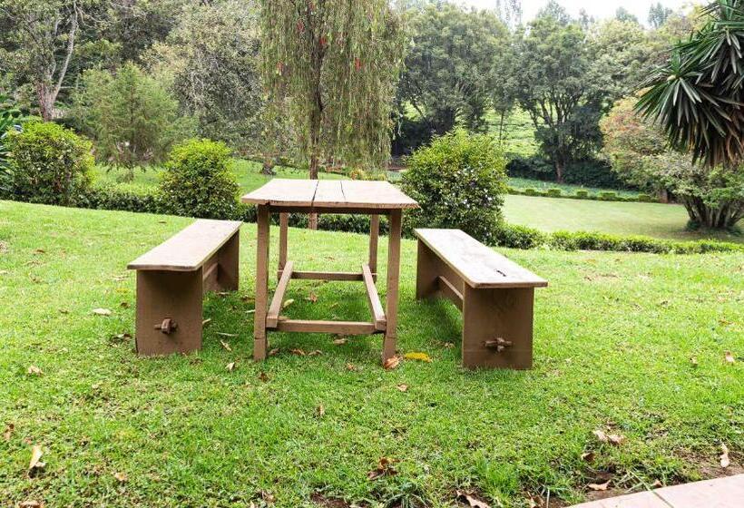 اتاق خانوادگی, Thayu Farm