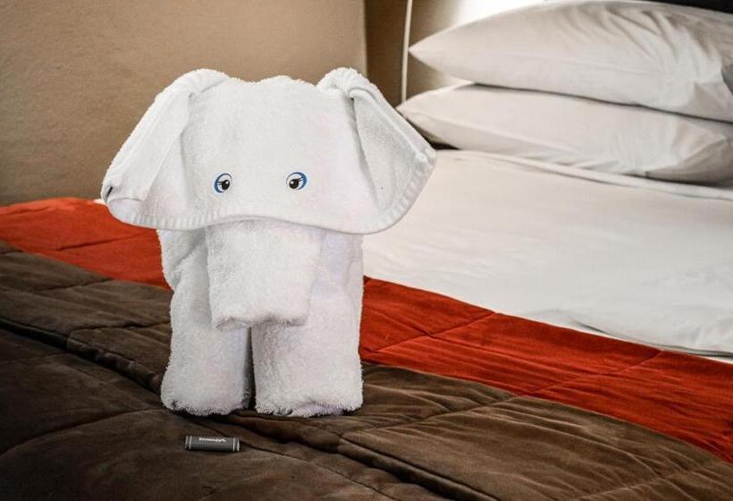 غرفة قياسية, Indaba Hotel, Spa & Conference Center