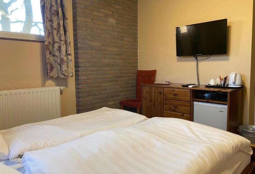 اتاق استاندارد, Aurora Panzió