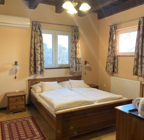 اتاق استاندارد, Aurora Panzió