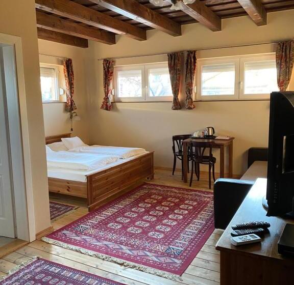 اتاق خانوادگی, Aurora Panzió