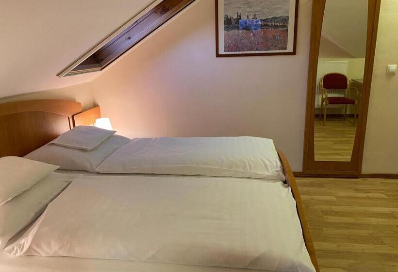 آپارتمان لوکس 1 خوابه, Aurora Panzió