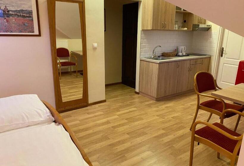 آپارتمان لوکس 1 خوابه, Aurora Panzió