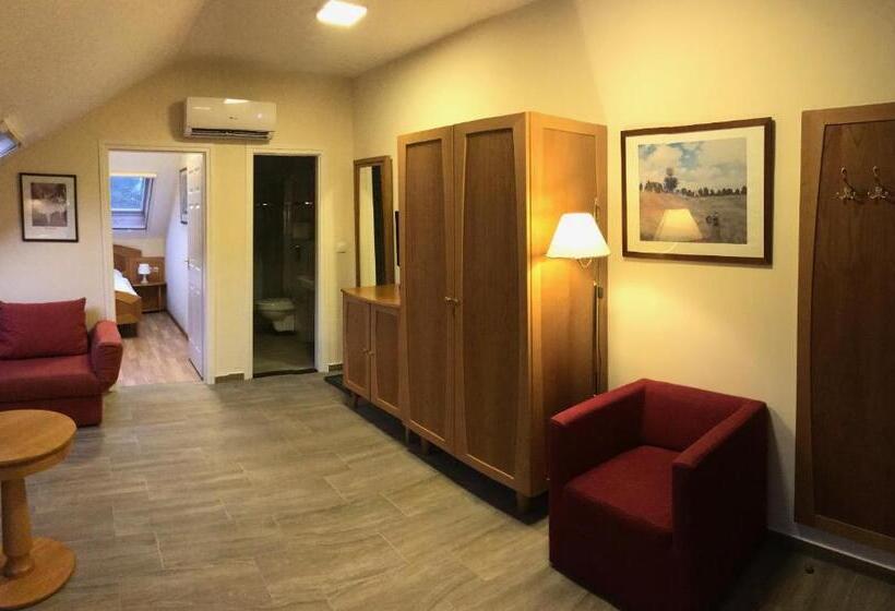 آپارتمان لوکس 1 خوابه, Aurora Panzió