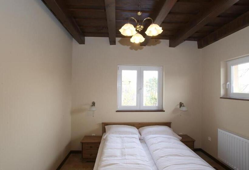 اتاق استاندارد, Aurora Panzió