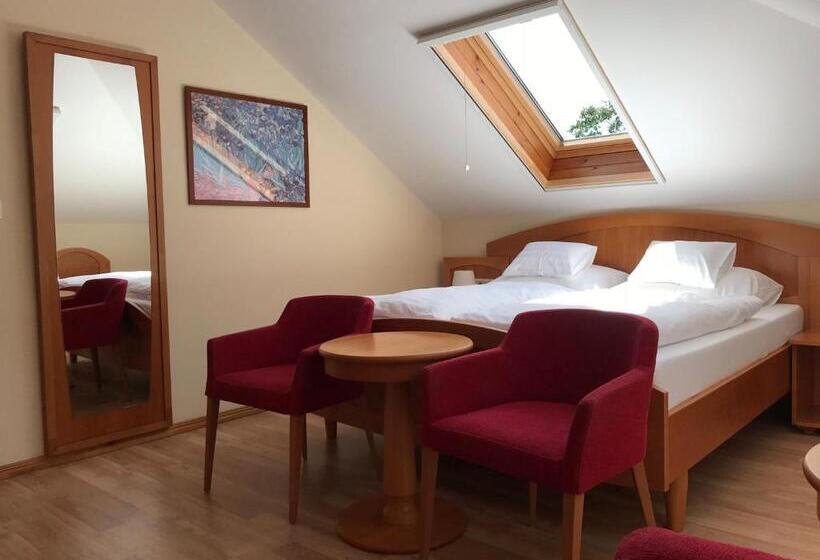 اتاق استاندارد, Aurora Panzió