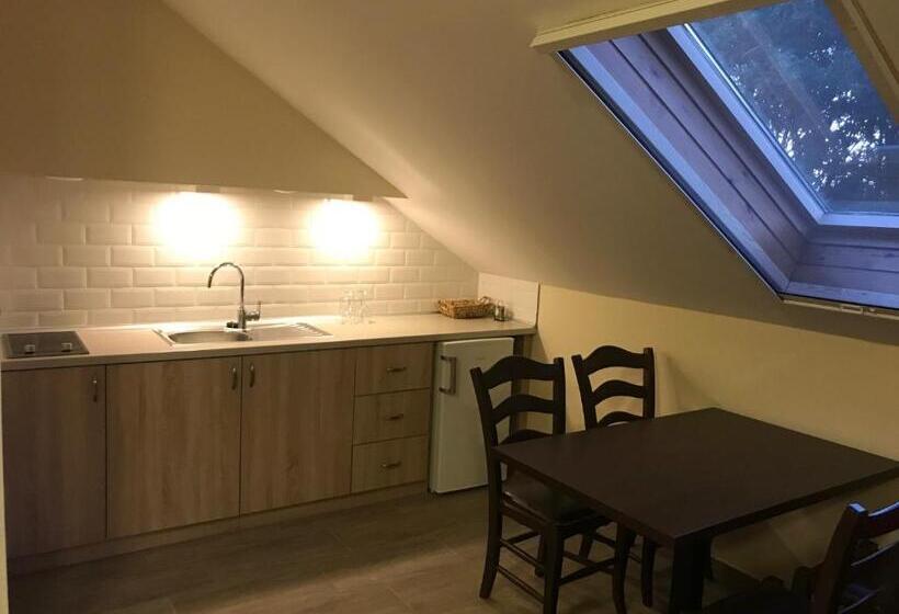 آپارتمان لوکس 1 خوابه, Aurora Panzió