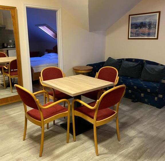 آپارتمان لوکس 1 خوابه, Aurora Panzió