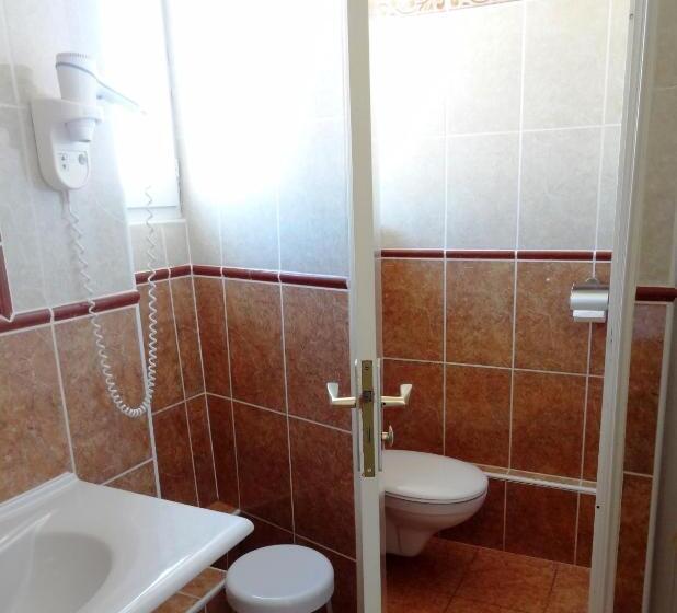 スタンダードルーム, De France