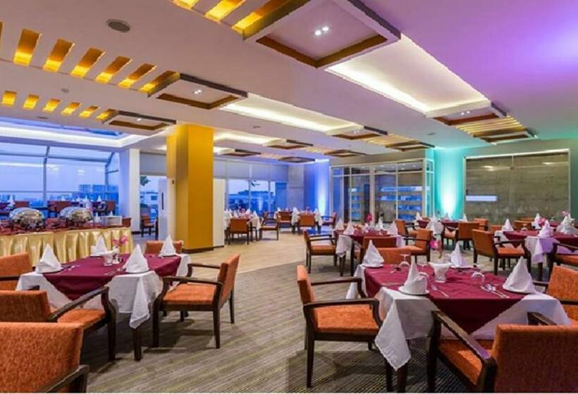 اتاق لوکس با تخت بزرگ, Windy Terrace