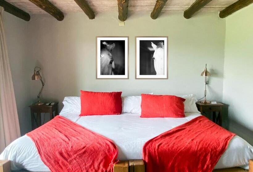 اتاق سوپریور, Casa De Campo