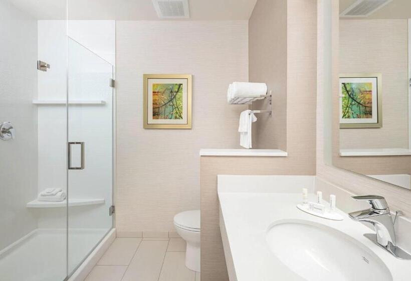 Люкс Кровать Кинг, Fairfield Inn & Suites By Marriott North Bergen