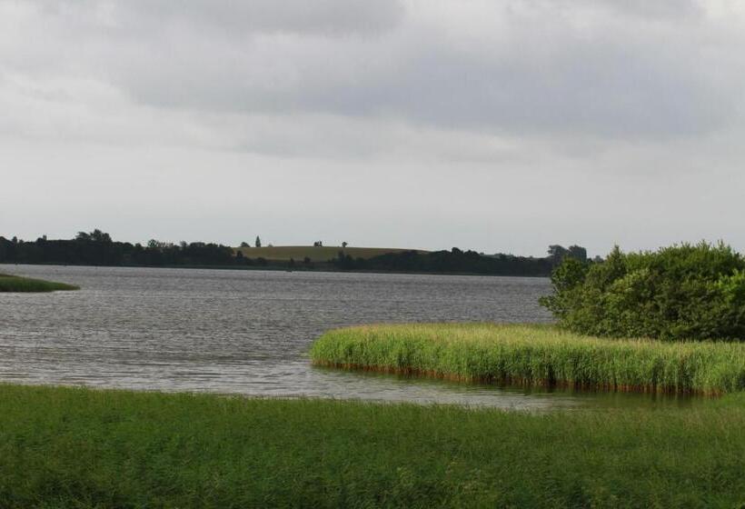 스탠다드 전망 룸, Stege Nor