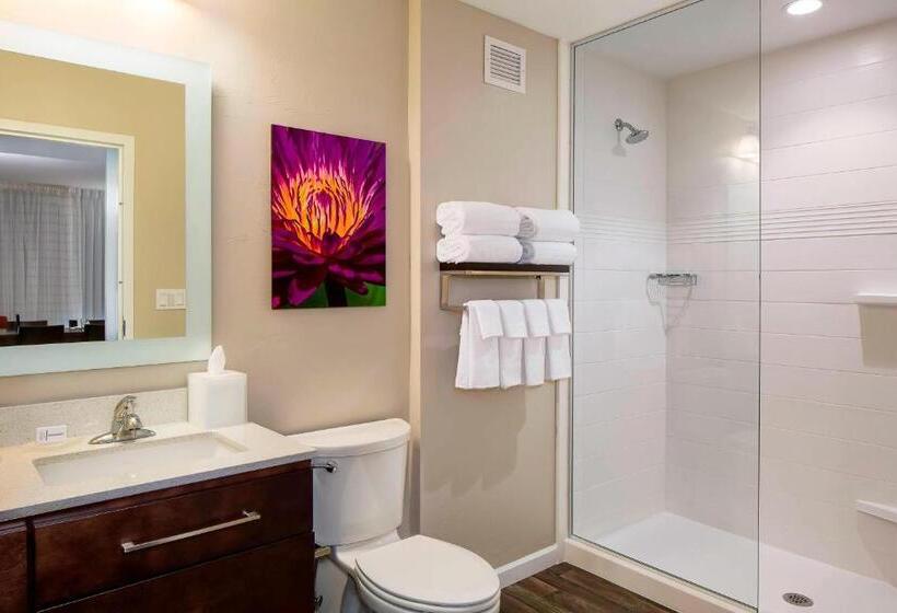 إستوديو قياسى سرير كينج, Towneplace Suites By Marriott Fort Myers Estero