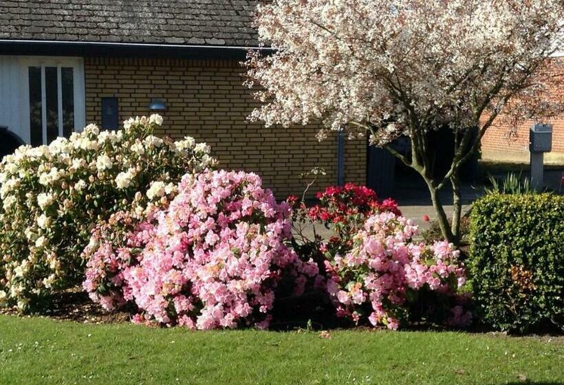 스탠다드 룸 가든 전망, Horsens Room