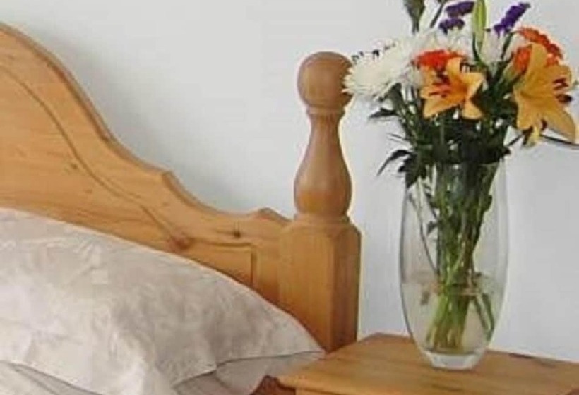 חדר יחיד נוף לגינה, The Olive Branch