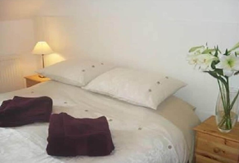 חדר יחיד נוף לגינה, The Olive Branch