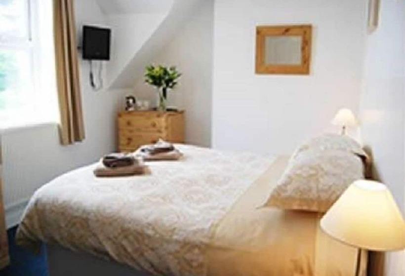 חדר סטנדרט, The Olive Branch