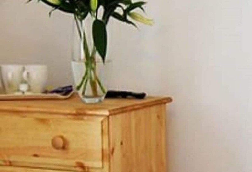 חדר סטנדרט, The Olive Branch